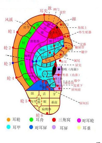 中医正骨