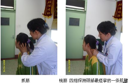 中医定向正骨