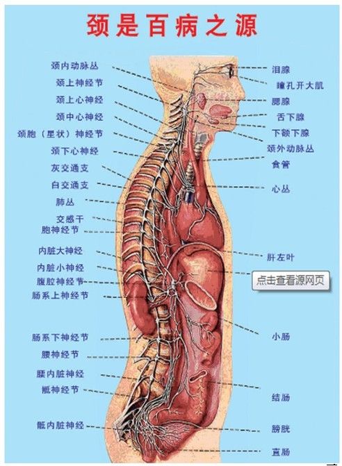 颈椎病 北京宝芝堂 胡进江