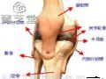 膝关节骨性关节炎的患者如何进行按摩？
