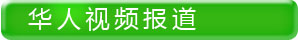 华人视频报道